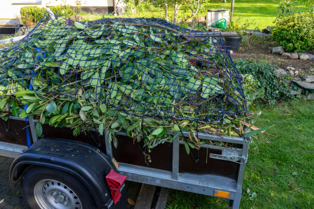 Best Hoarding Cleanup  in Briar Chapel, NC